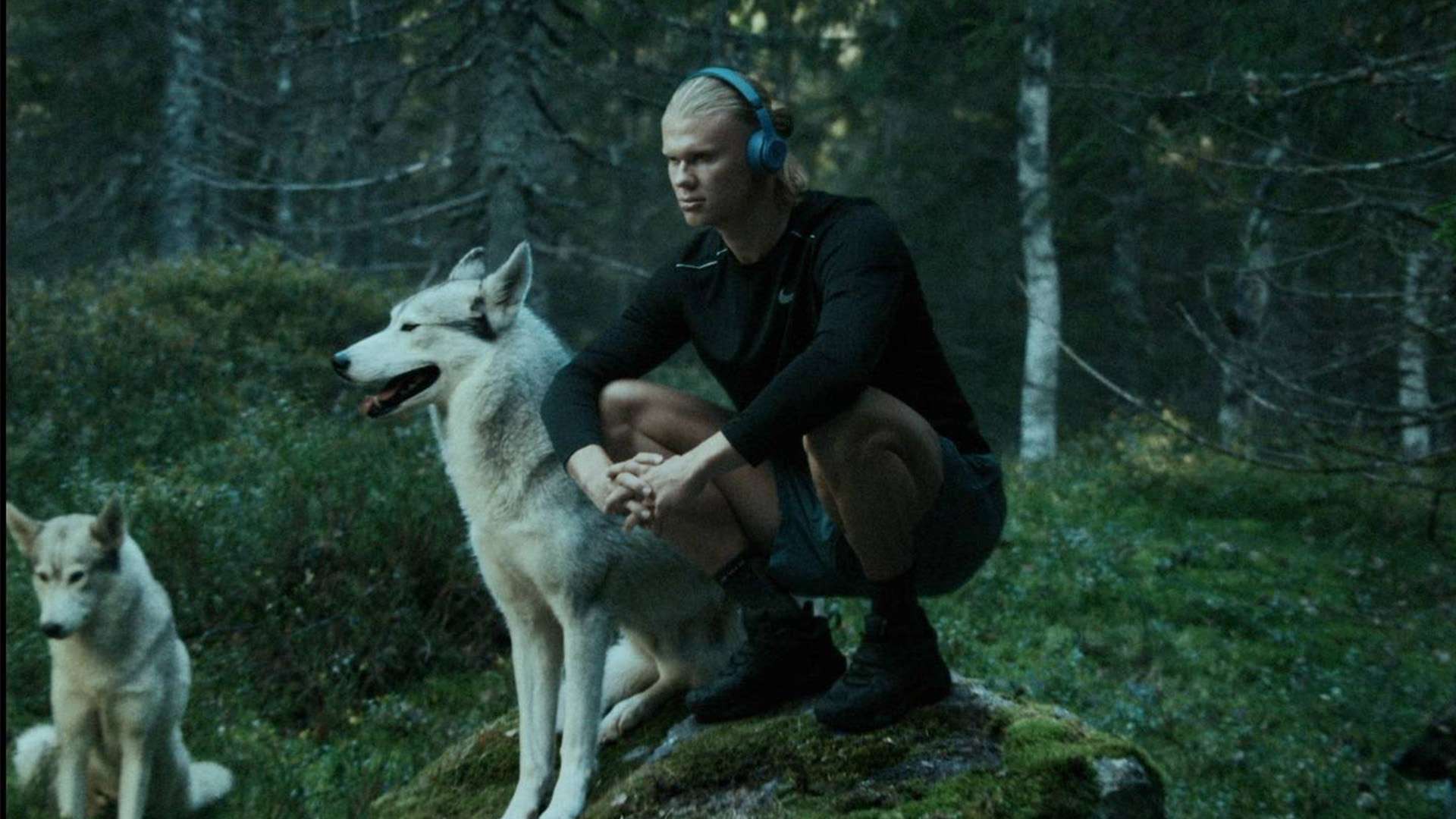 增添助力 增添助力