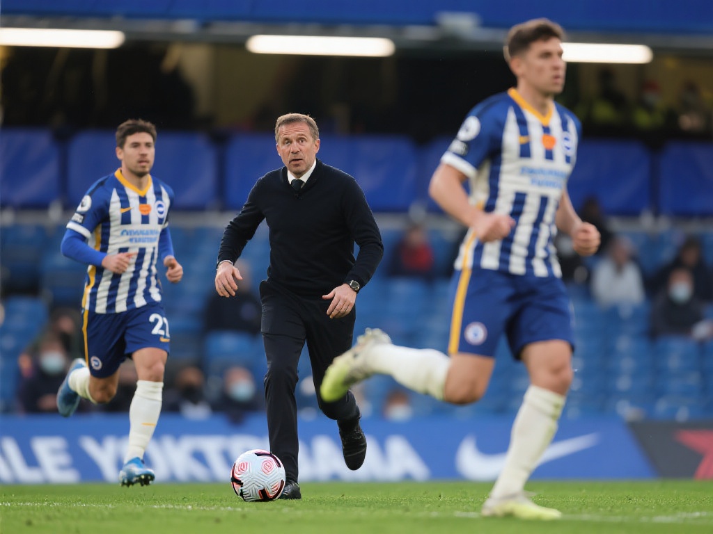 科学安排轮 科学安排轮